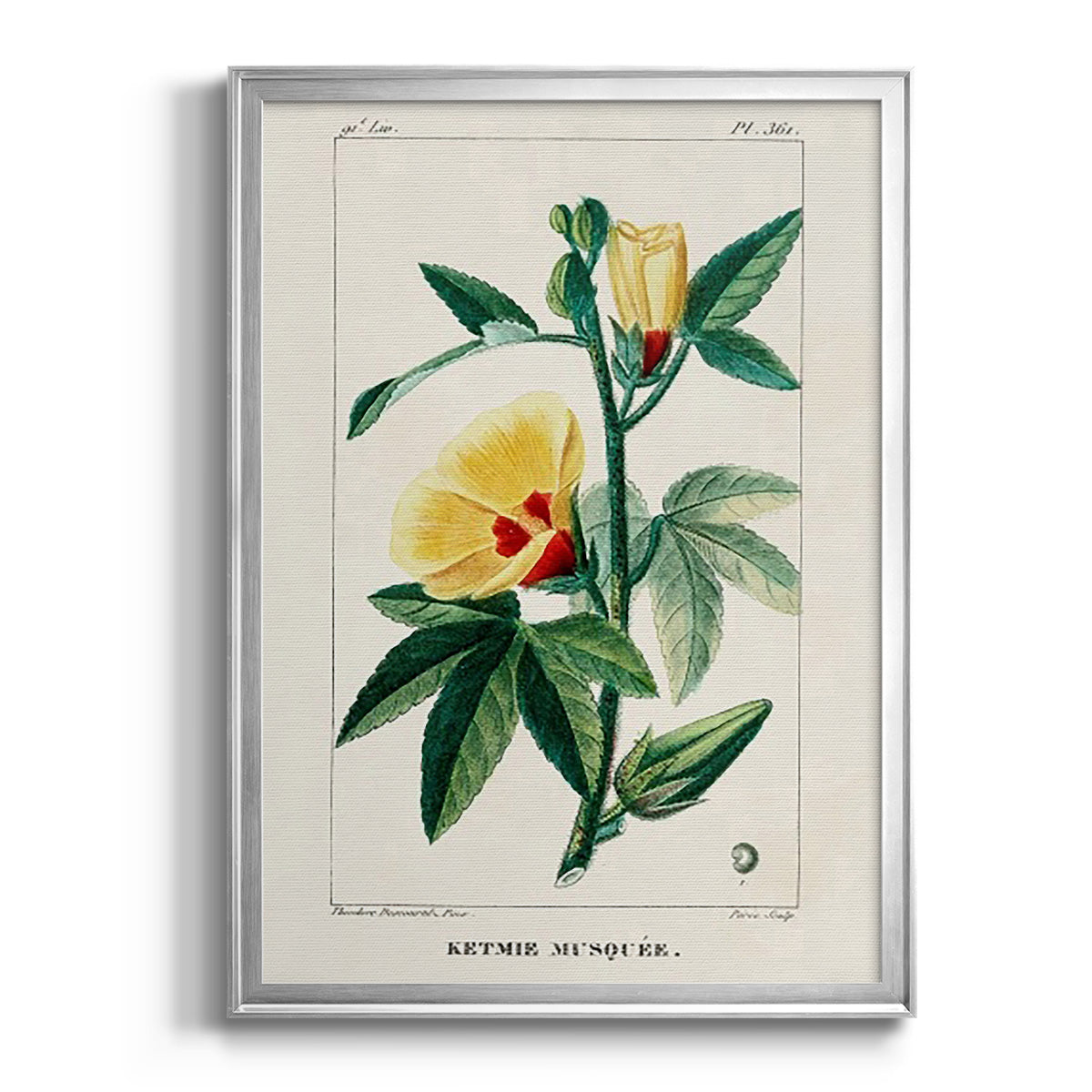 Turpin Tropical Botanicals VI - Modern Framed Canvas Print