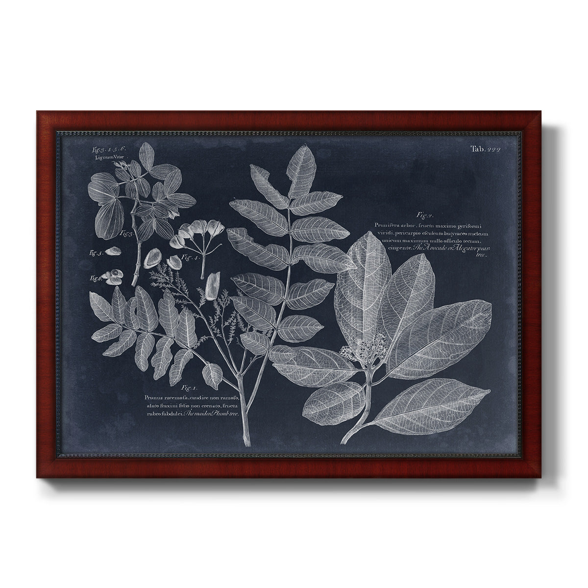 Foliage on Navy V Premium Framed Canvas- Ready to Hang