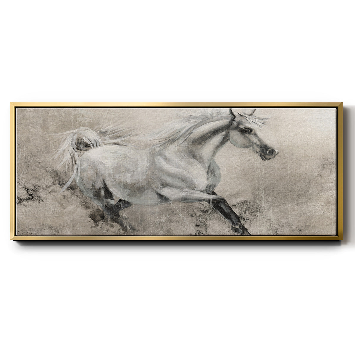 Majestic Stallion I - Floater Framed Canvas Print