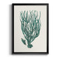 Antique Coastal Coral VIII - Modern Framed Canvas Print