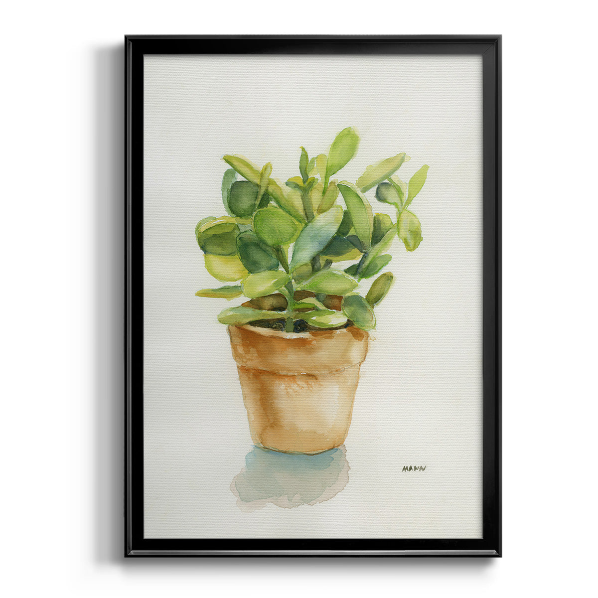 Succulent I - Modern Framed Canvas Print