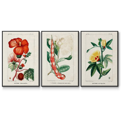 Turpin Tropical Botanicals VI - Framed Premium Gallery Wrapped Canvas L Frame 3 Piece Set - Ready to Hang