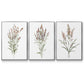 Dainty Botanical I - Framed Premium Gallery Wrapped Canvas L Frame 3 Piece Set - Ready to Hang