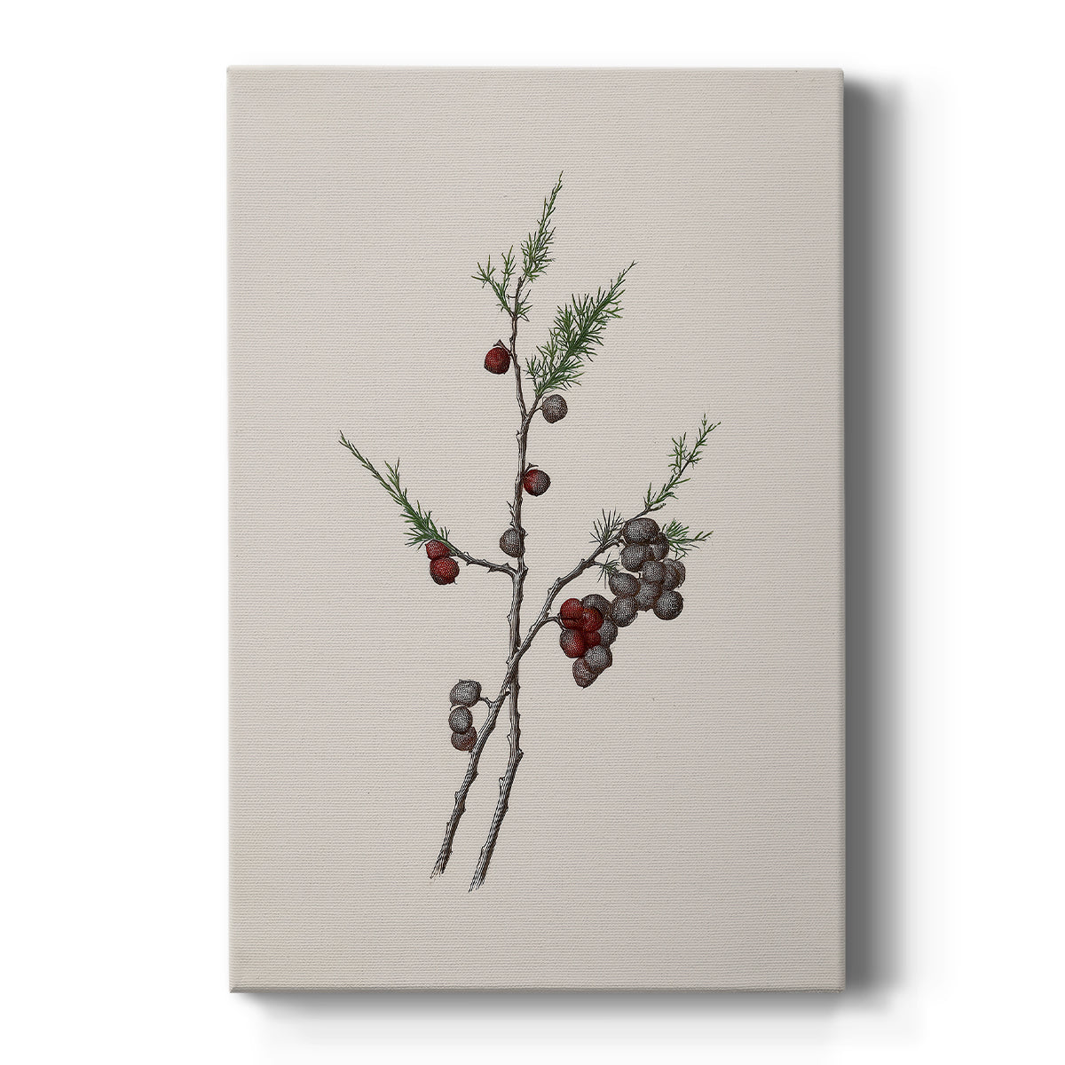 Carols of Frostlit Promise - Canvas Art Print