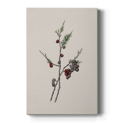 Carols of Frostlit Promise - Canvas Art Print