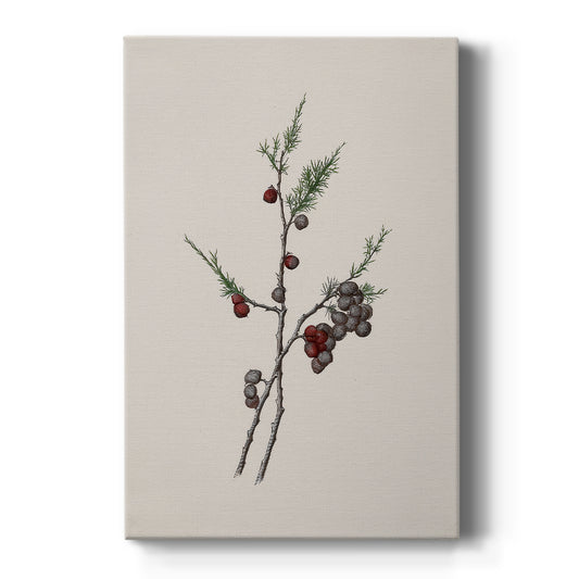 Carols of Frostlit Promise - Canvas Art Print