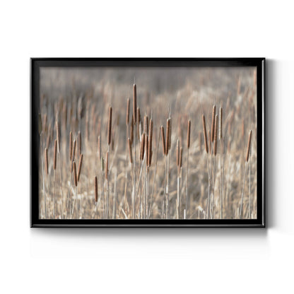 Summer Tails - Modern Framed Canvas Print