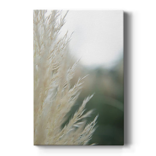 Subtle Grasses I Premium Gallery Wrapped Canvas - Ready to Hang