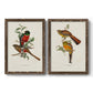 Elegant Trogons I - Premium Framed Canvas 2 Piece Set - Ready to Hang