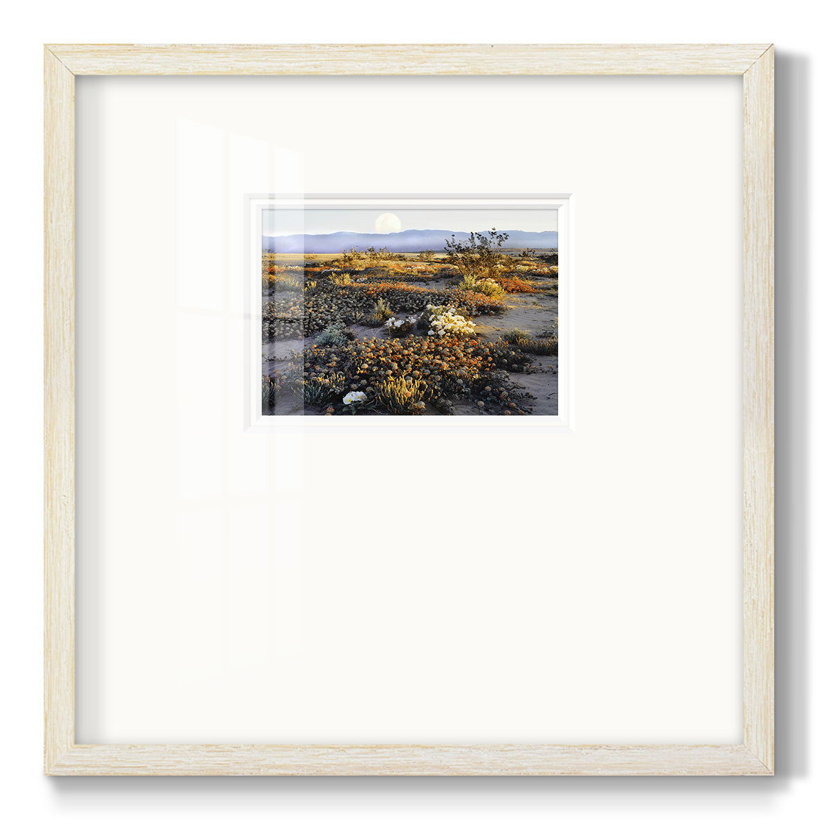 Anza Borrego Desert Premium Framed Print Double Matboard