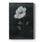 Country Botanical II Premium Gallery Wrapped Canvas - Ready to Hang