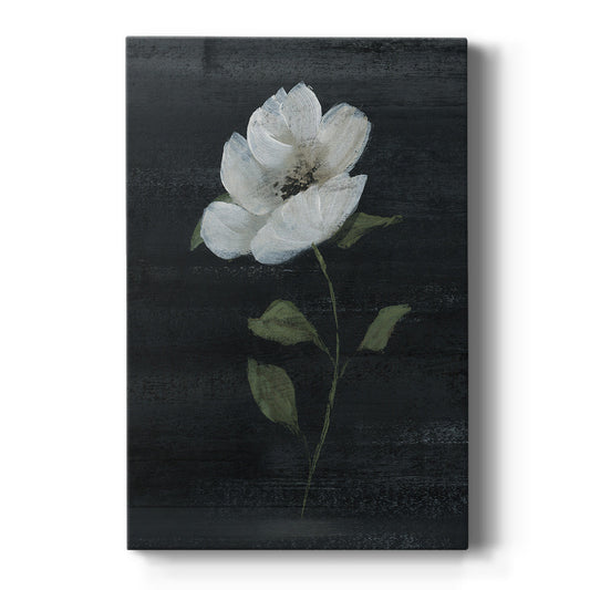 Country Botanical II Premium Gallery Wrapped Canvas - Ready to Hang