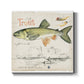 Trout Journal III-Premium Gallery Wrapped Canvas - Ready to Hang