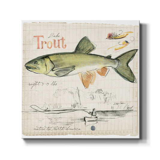 Trout Journal III - Canvas Art Print