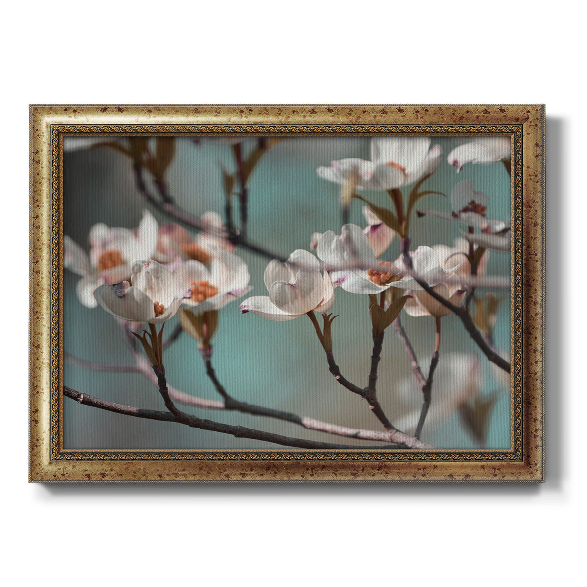 Dogwood Spring IV Premium Framed Canvas- Ready to Hang