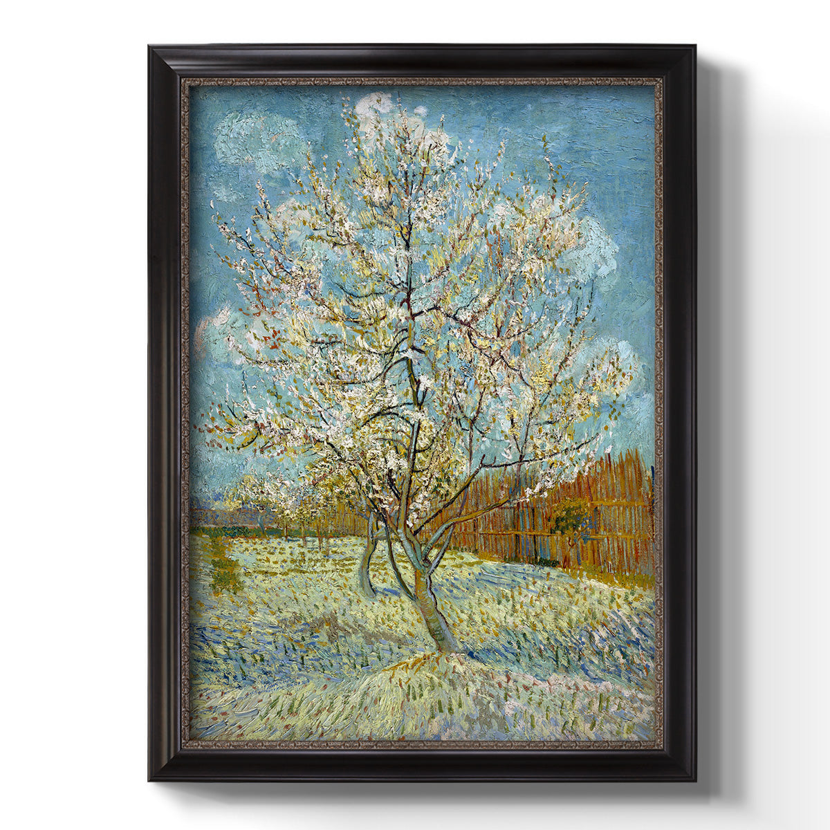  The Pink Peach Tree - Ornate Framed Canvas Print