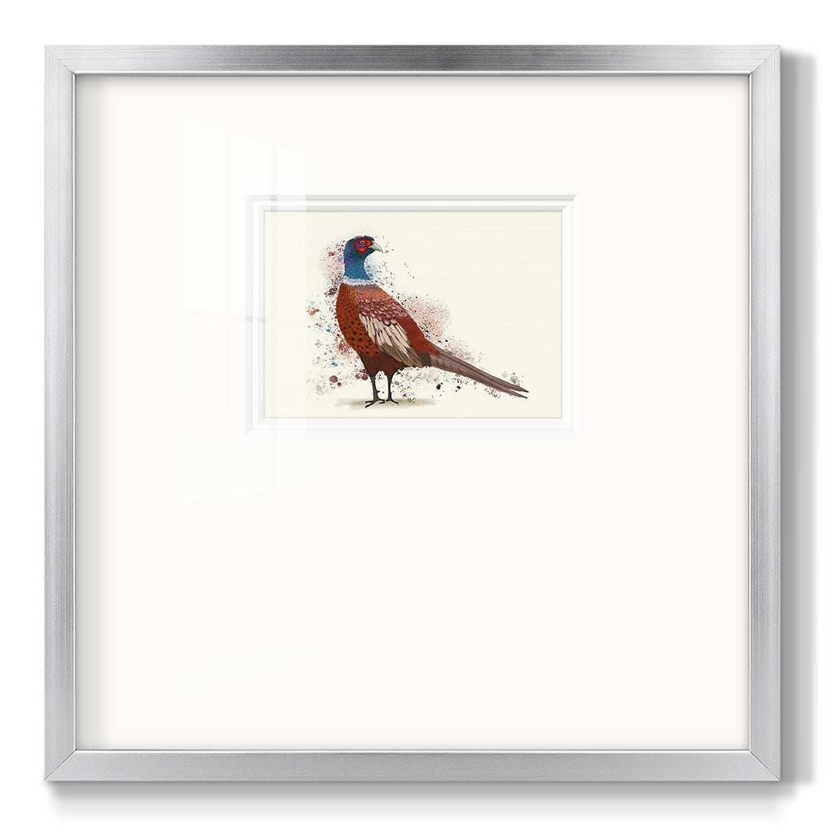 Pheasant Splash 5 - Double Matboard Framed Print