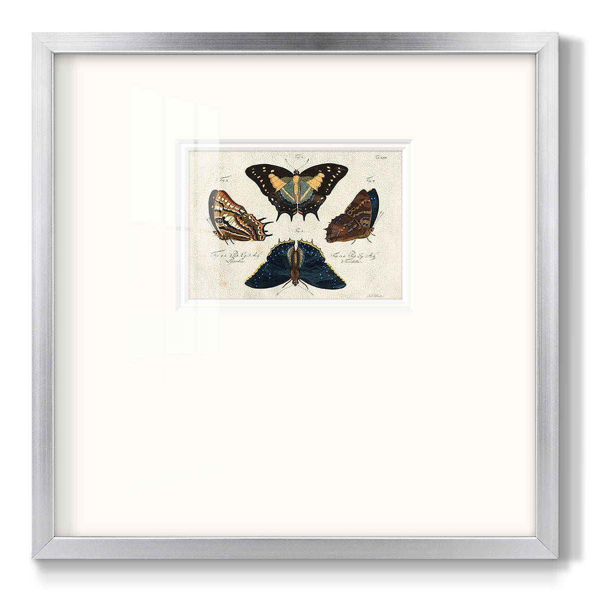 Crackled Butterflies IV - Double Matboard Framed Print
