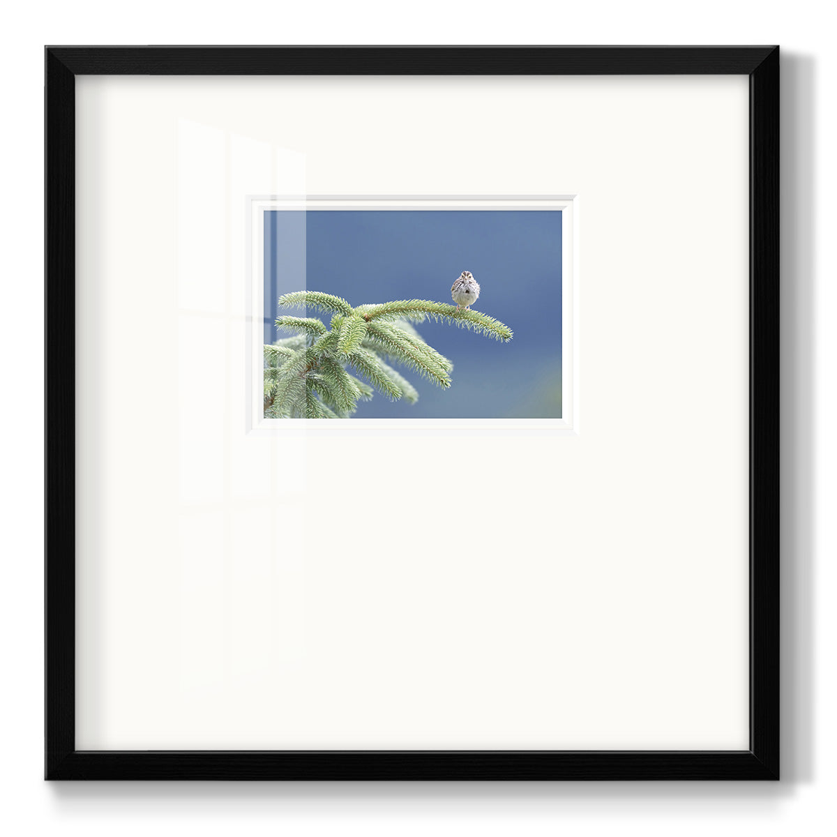 Evergreen Perch- Premium Framed Print Double Matboard