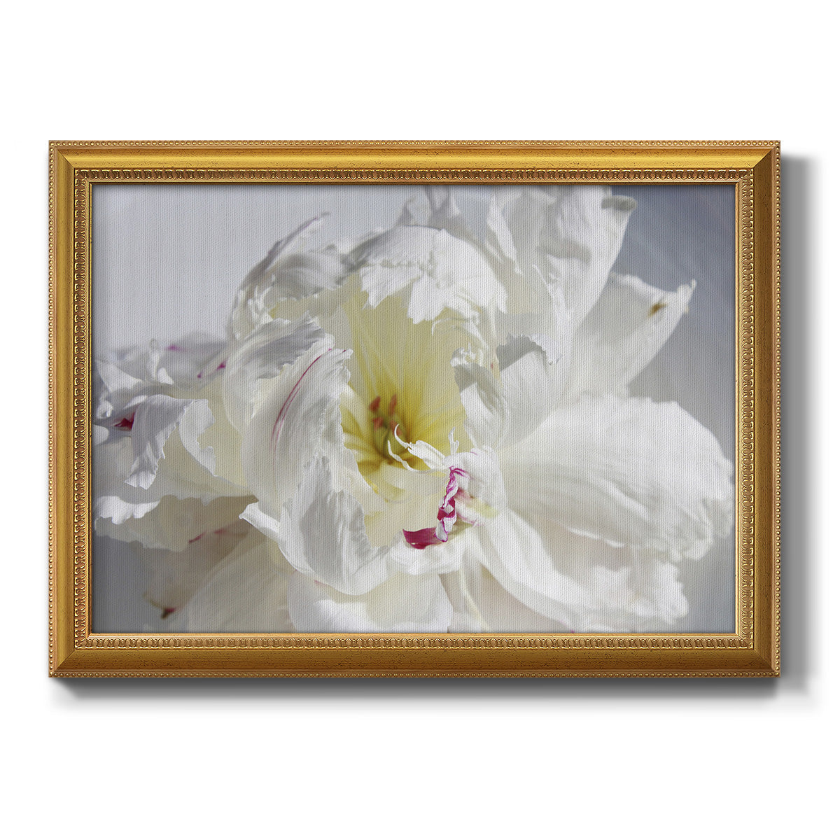 Breathless IV - Ornate Framed Canvas Print