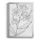 Botanical Sketch I - Modern Framed Canvas Print