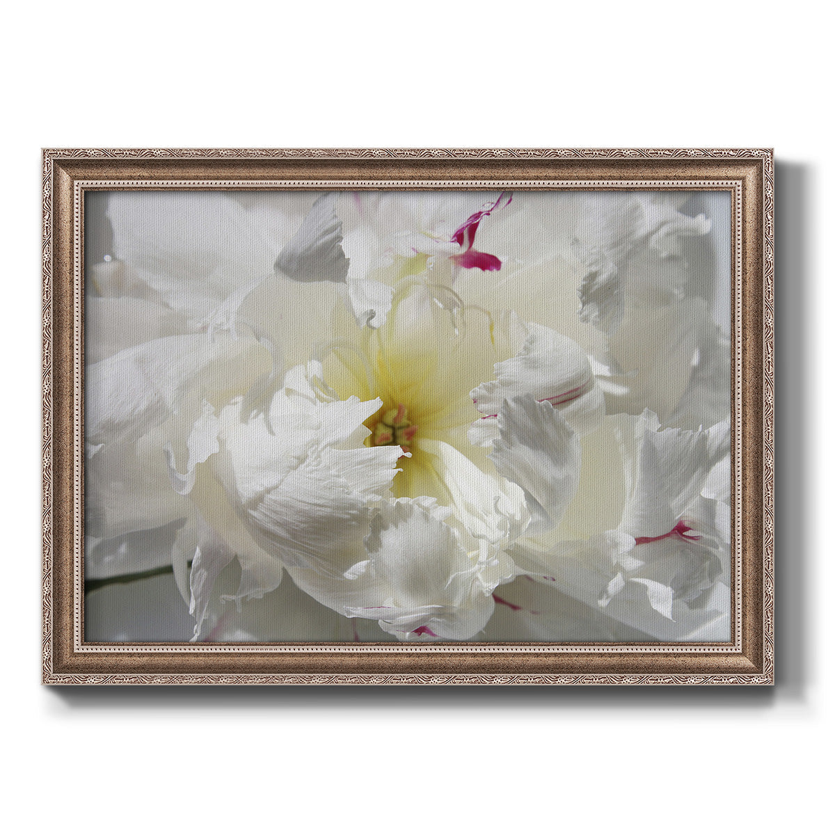 Breathless II Premium Framed Canvas- Ready to Hang