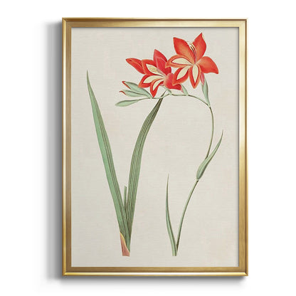 Flowers of the Seasons IV - Modern Framed Canvas Print