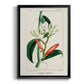 Turpin Tropical Botanicals IX - Modern Framed Canvas Print