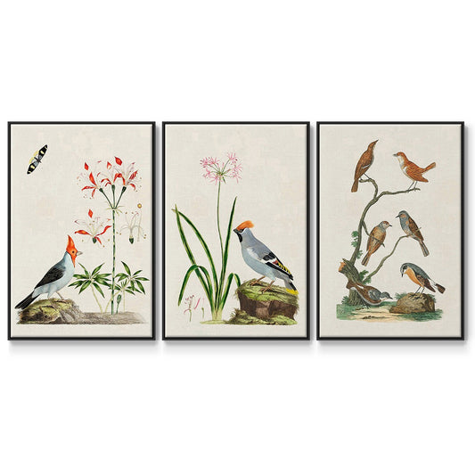 Antique Birds in Nature IV - Floater Framed Canvas Set