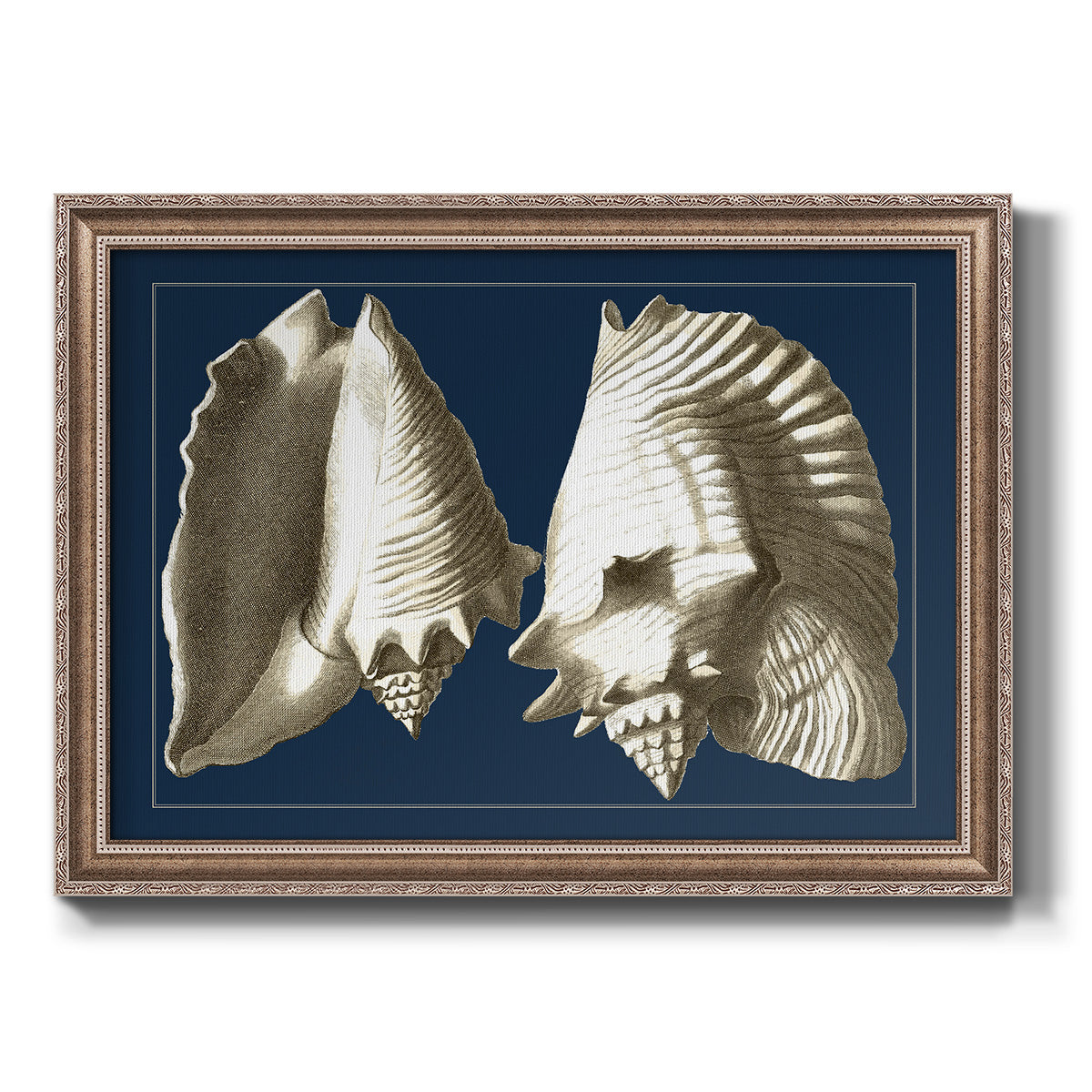 Conch Shells on Navy I Premium Framed Canvas- Ready to Hang