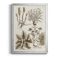 Sepia Botanical Journal VII - Modern Framed Canvas Print