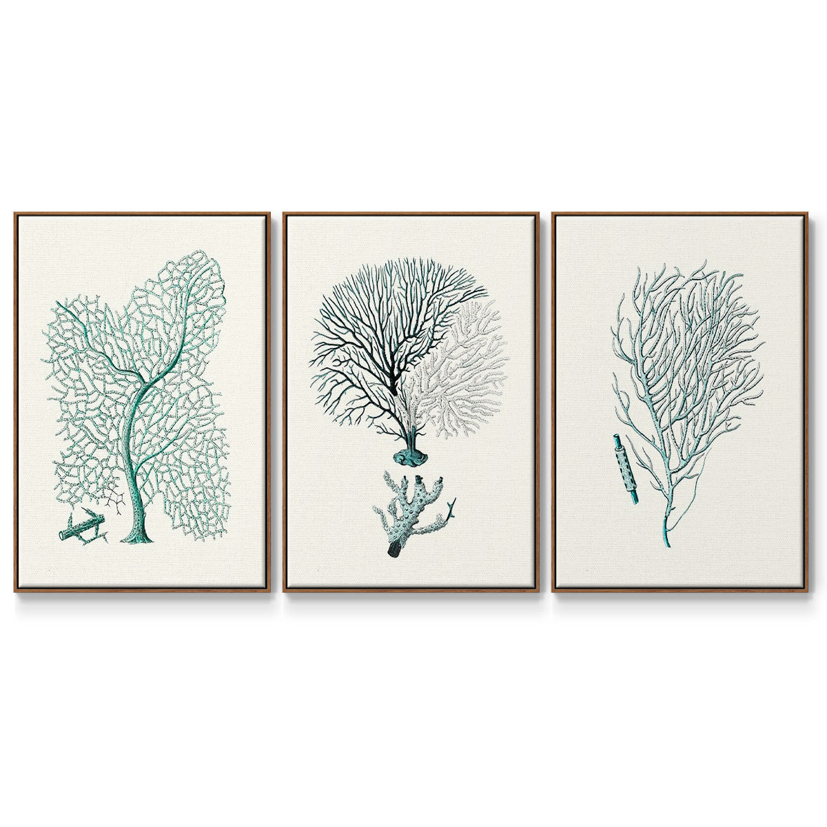Antique Coastal Coral I - Floater Framed Canvas Set