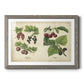 Kitchen Fruits III-Premium Framed Print - Ready to Hang