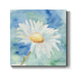 Daisy Sunshine II - Canvas Art Print