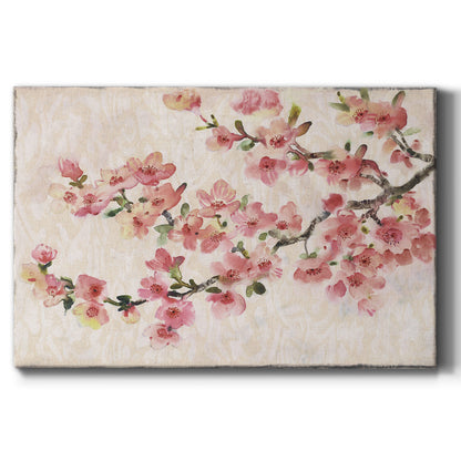 Cherry Blossom Composition I - Canvas Art Print