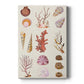 Coral & Shell Collage II - Canvas Art Print