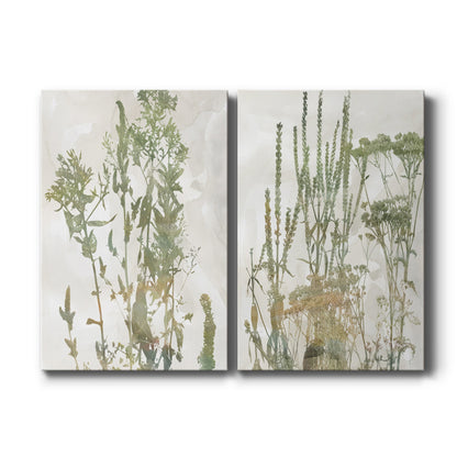 Set of two vertical canvas prints featuring soft wildflower botanical illustration, displayed side by side.