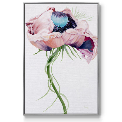 Paris Poppy II - Floater Framed Canvas Print