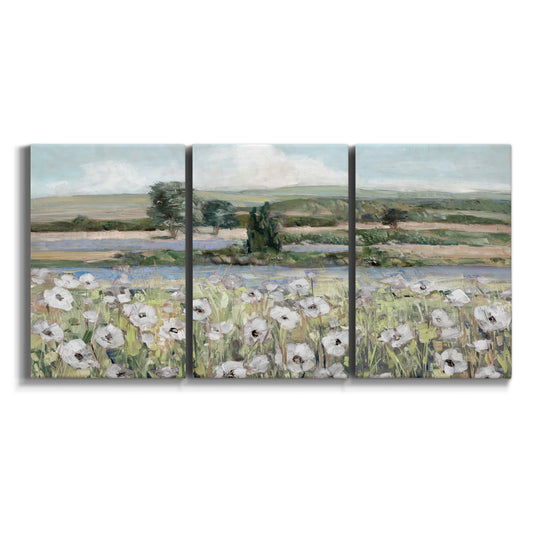 Three-panel canvas wall art featuring vintage poppy filled valley on white background.