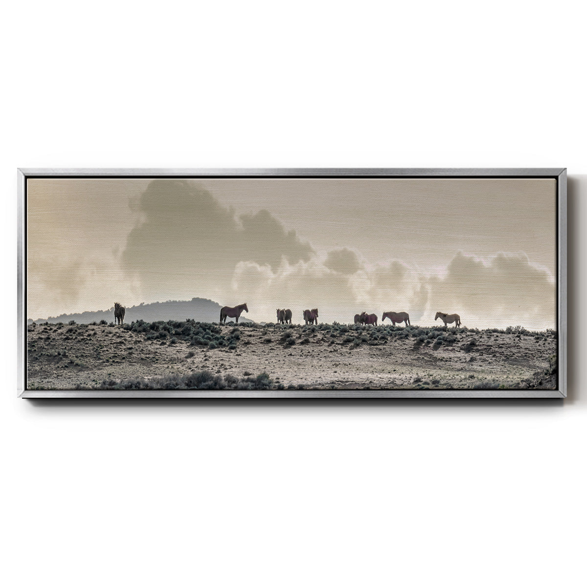 Wild Horse Ridge - Floater Framed Canvas Print