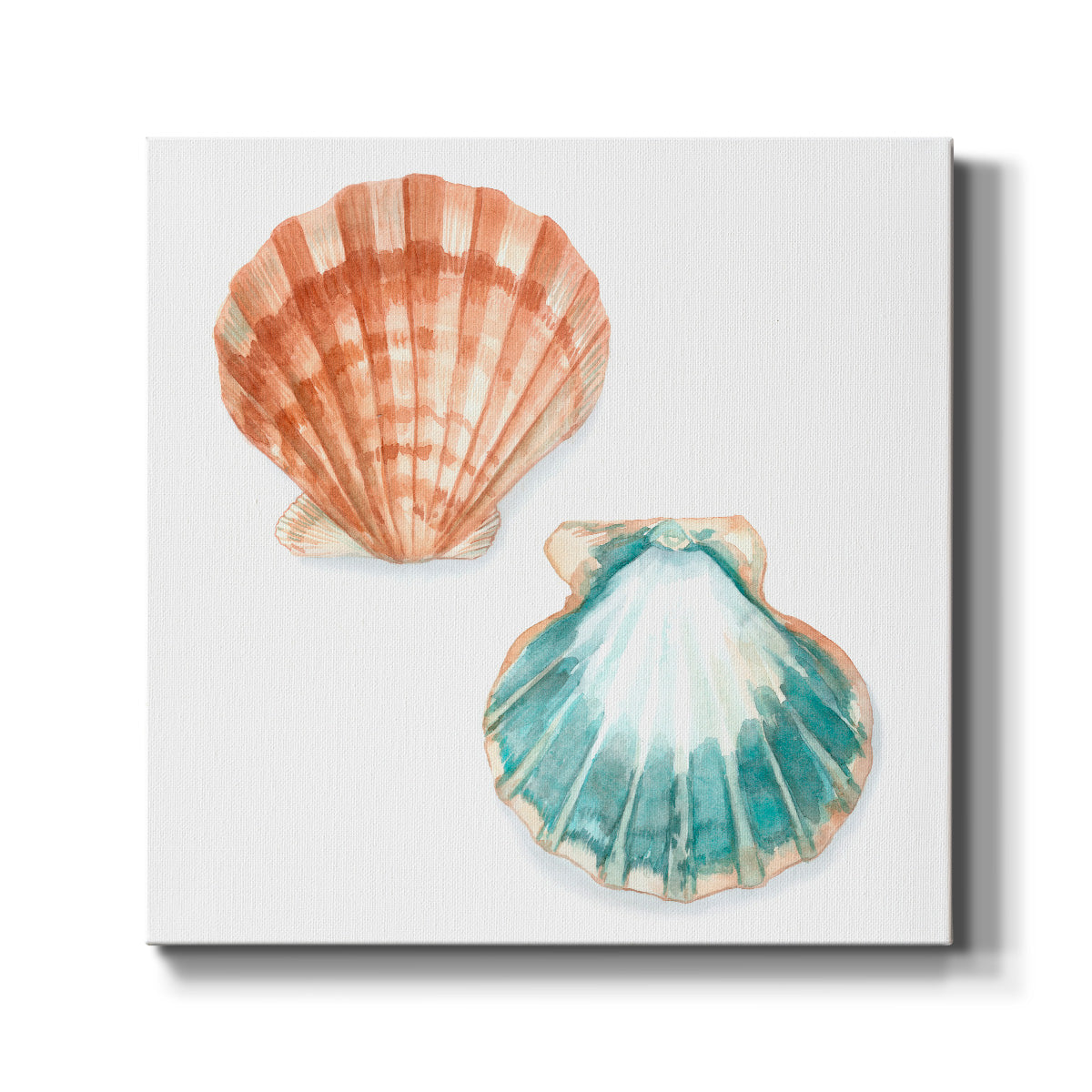 Watercolor Shells I-Premium Gallery Wrapped Canvas - Ready to Hang