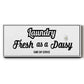 Daisy Laundry - Floater Framed Canvas Print