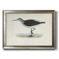 Morris Sandpipers VI Premium Framed Canvas- Ready to Hang