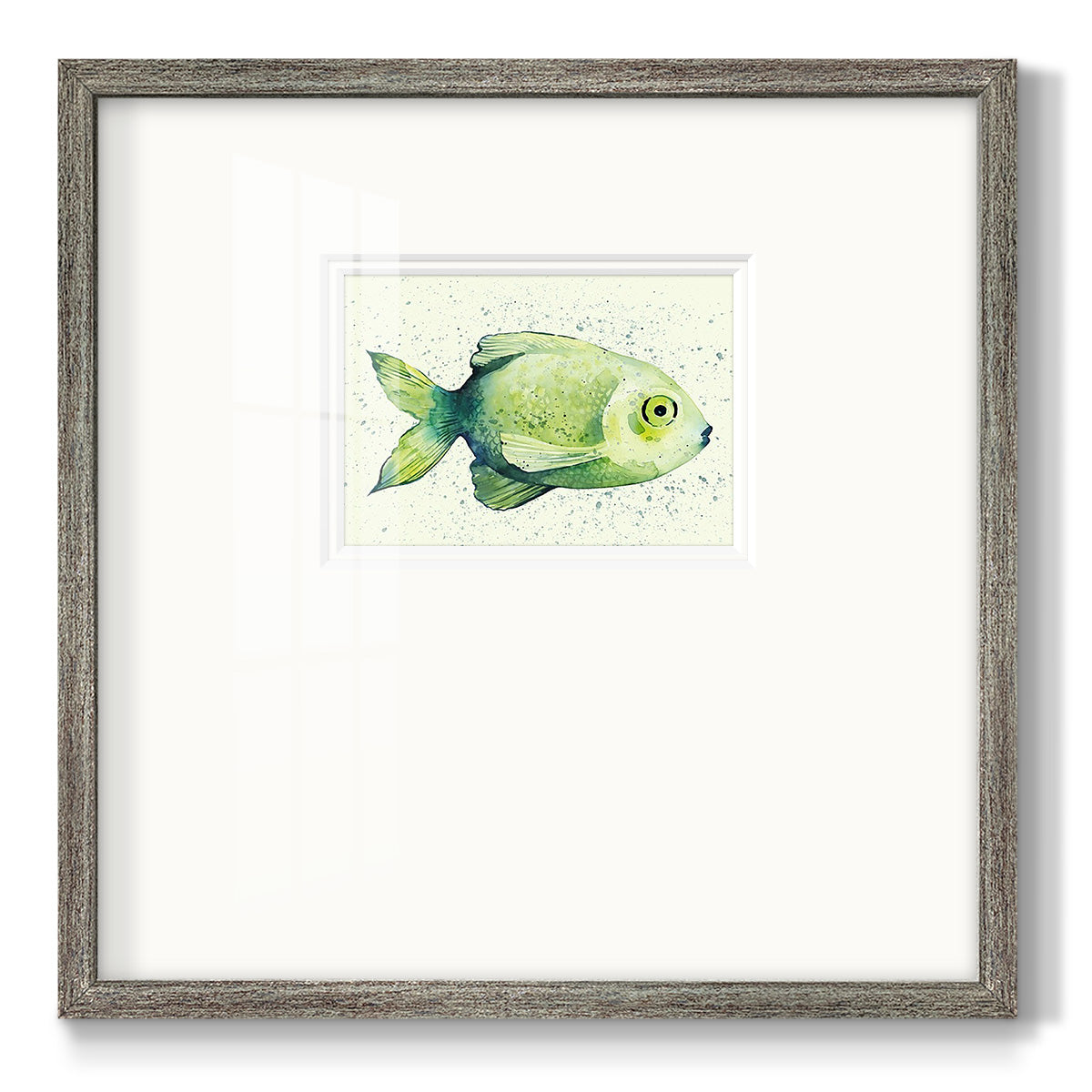 Speckled Freshwater Fish II Premium Framed Print Double Matboard