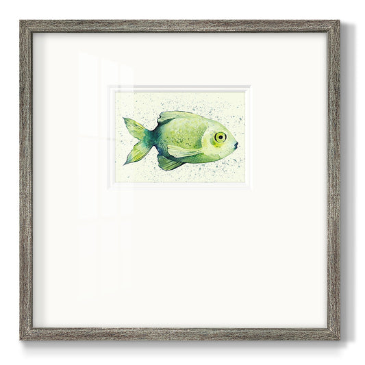 Speckled Freshwater Fish II Premium Framed Print Double Matboard