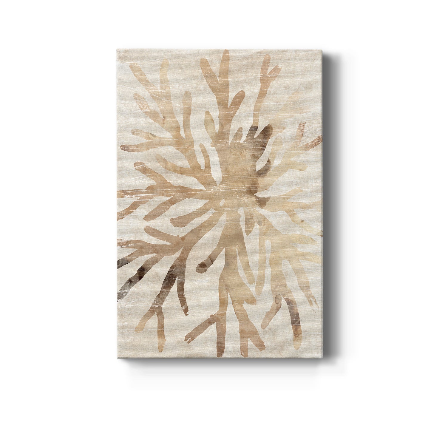 Parchment Coral II Premium Gallery Wrapped Canvas - Ready to Hang