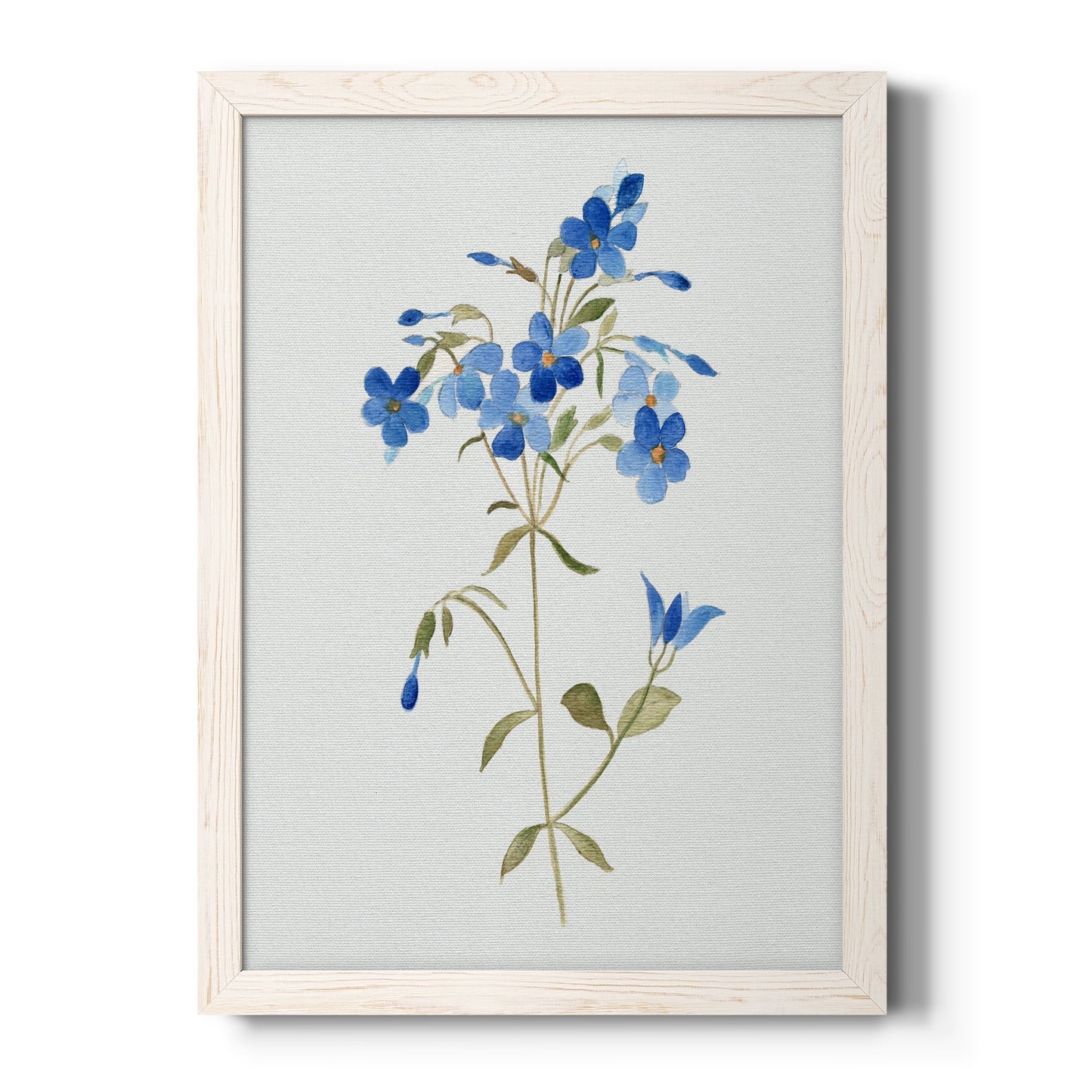 Blue Blossom Botanical II - Barnwood Framed Canvas Print