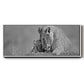 Lioness Love - Floater Framed Canvas Print