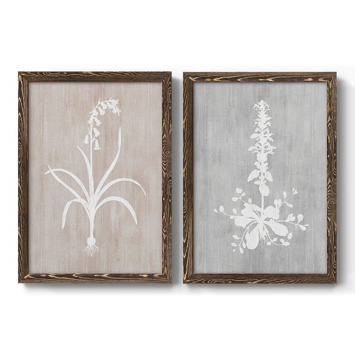 Set of two walnut barnwood framed canvas prints featuring two rustic minimalist botanical prints featuring white botanical silhouettes on softly weathered neutral backgrounds.