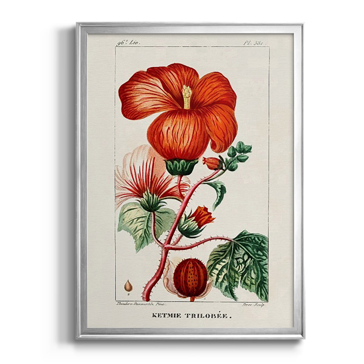 Turpin Tropical Botanicals VII - Modern Framed Canvas Print